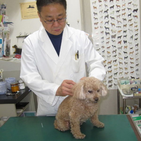 ヘルニアになってしまった子の抱っこの仕方