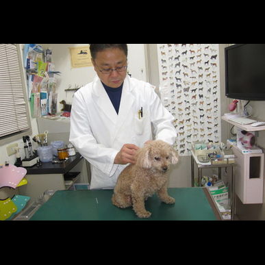 鍼灸治療が適応の病気の例