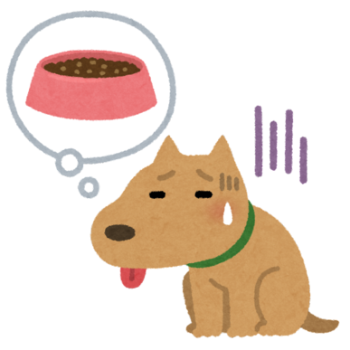 犬の吐き気、食欲低下は気候が原因！？